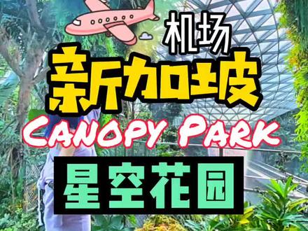 不用出机场就能让你玩疯!就在新加坡樟宜机场!#新加坡旅行 #星耀樟宜 #机场