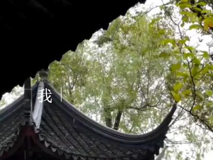 老死不相往来•
#簪星#杨簪星#顾白婴 #簪星