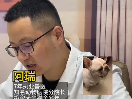 狗狗流口水严重是什么问题?应该怎么办?宠物医生在线咨询,宠物医生在线问诊#养狗经验分享 #新手养狗 #狗狗生病 #宠物医生在线问诊 @DOU+小助手