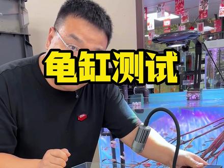 贝森新品龟缸测评#贝森龟缸 #养龟 #水族 #测评