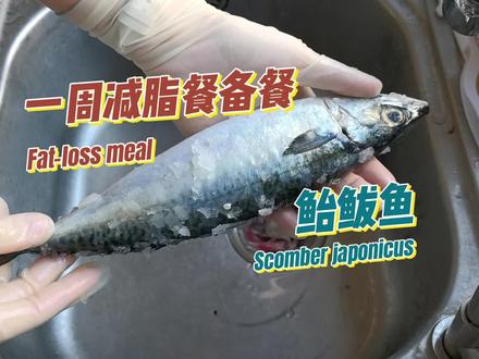 【减脂餐】一周减脂餐备餐:无刺鲭鱼排 今天买菜遇到很新鲜的鲐鲅鱼,鲭科鲐属的鱼营养成分都是很接近的,新鲜度比较好的日本始并不会比大西洋鲭差,是非常物美价廉的减脂餐蛋白质和优质脂肪摄入源。
三枚切拔掉鱼刺,老人小孩也可以安心吃啦,家有老人或是宝妈备餐也可以尝试一下这样的操作方法。#减脂餐 #一周备餐 #鲭鱼 #青花鱼 #宝宝辅食