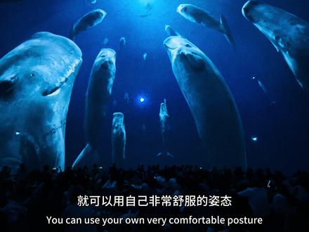 我们一起进入深海 欣赏抹香鲸群的睡姿#现场实拍 #视觉冲击 #科技感爆棚 #玩出你的热爱 #蓝色治愈系 @巨熊北北 @博涛文化