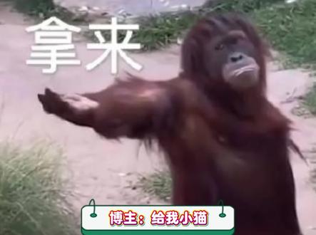 《顺产哪有顺手快》 #过火 #歌词改编 #搞笑配音 #万万没想到