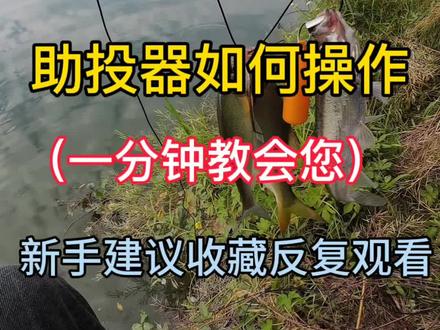 助投器如何操作? 一分钟教会您用助投器#助投器 #路亚教学#路亚技巧#钓鱼装备搭配推荐 #路亚野钓 #路亚教学