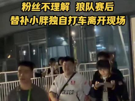 震惊所有粉丝替补的小胖独自打车离场,似乎已经在狼队没有位置了 #2026王者荣耀挑战者杯 #kpl#重庆狼队#狼队小胖