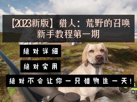 【猎人:荒野的召唤】2023新手教程第一期