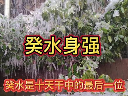 癸水身强性格特点