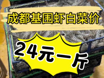 24元一斤的基围虾行情还能持续多久?#基围虾 #基围虾批发 #成都海鲜批发市场 #我也想买24元一斤的基围虾
