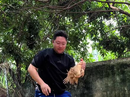 塘厦离谱休闲农庄9.9一只窑鸡!#寻味烟火气 #钓鱼