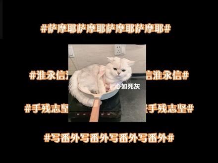我和作者比命长系列。#非天夜翔 #颓 #淮上 #priest