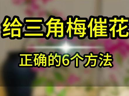 家里养三角如何正确的控水催花?用好6个方法,让你养的三角梅甩别人几条街#种植小技巧#养花知识分享#庭院小阳台#花卉绿植#创作灵感