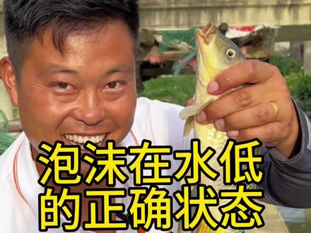 第三集 泡沫逗钓正确的提杆握杆方式,和泡沫挂钩在水低的正确方式详细教程#泡沫逗钓 #泡沫逗钓教学 #钓鱼技巧 #张队长泡沫逗钓