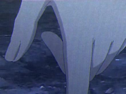 “这才叫顶天立地.”#一人之下 #冯宝宝