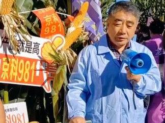 京科981优点详述第四集(赵久然老师讲解):1、产量高;2、品质好;3、绿色经济(耐干旱、省肥省人工、抗病毒);4、粮饲兼用
#北京龙耘种业 #玉米种植 #抖音助农