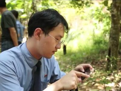 【案“鉴”】国家二级保护植物野生金豆,为何“榜上无名”?