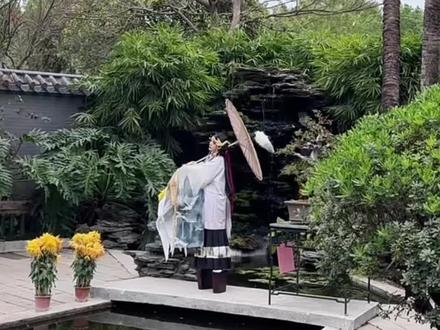 待宵姑获鸟穿衣指南 #澈仔的小课堂 #待宵姑获鸟