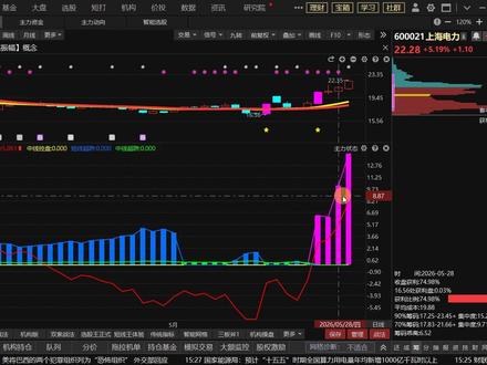 5月29日上海电力:抄底巨资涌入?主力已经明牌 #热点