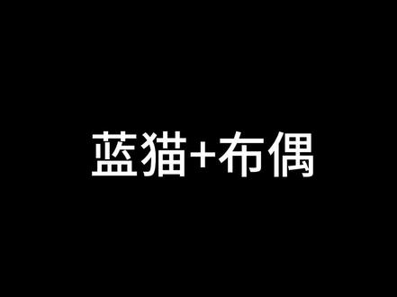 #蓝猫和布偶生的娃 你们的都是什么样的啊