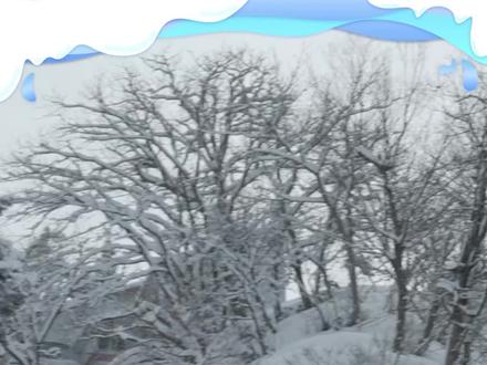 谷爱凌为何没能复刻北京冬奥的剧本?#谷爱凌冬奥坡障技巧摘银