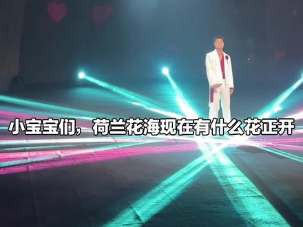 宝子们,荷兰花海单人票来啦!有冰雕展、非遗打铁花等,还赠50花币,速囤去玩!#其他旅游景点 #打铁花 #荷兰花海 #新春特惠 #机器人舞蹈