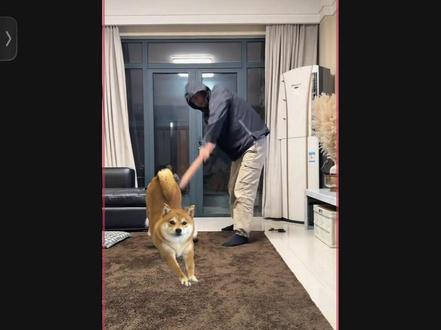 狗狗发射特技、小狗冲出屏幕外视频制作教程来啦,从拍摄到剪辑,看这一条视频就够了,过年在家和自己的萌宠宝贝拍起来吧!#萌娃发射特技 #剪映#小狗就是拿来玩的 #狗狗冲出屏幕