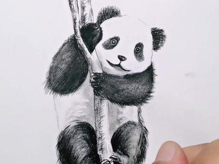1分钟教你学会画大熊猫,你学会了吗?