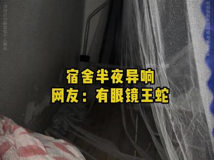 宿舍内有异响,网友怀疑是眼镜王蛇#大学生 #宿舍 #蛇 #灵异事件