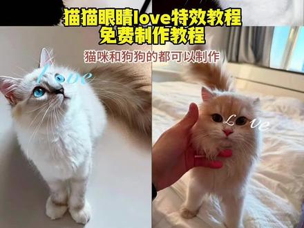 猫猫眼睛love特效教程,小狗love特效教程,猫猫眼睛love拍照制作,狗狗lovep图教程,#猫猫眼睛love, 猫猫眼睛love图l,小猫love,love特效,小猫lovr特效,#猫猫眼睛love教程, 猫猫眼睛love视频素材,猫猫眼睛love音乐,眼睛love,猫猫眼睛,猫猫眼睛love拍摄技巧,猫猫眼睛文案,猫猫眼睛love教程,猫猫眼睛love教程,猫猫眼睛love,眼睛love拍照教学,猫猫眼睛,眼睛love怎么拍,猫猫love,love眼睛照片教程,眼睛love拍照姿势,眼睛love修图教程醒图, #猫love特效,#即梦ai, 猫love特效,猫love特效教程,love特效,猫咪love特效,猫love拍照,猫love,猫咪Love特效教程豆包,猫耳朵love特效,猫咪loveai特效生成,猫love特效教程,猫love特效教程,猫love特效,猫咪loveai特效教程,猫咪Love特效教程豆包,猫love拍照,猫love,猫咪loveai特效生成,猫咪loveai特效热门模板,猫咪love特效制作方法,猫咪loveai特效教程,猫咪loveai特效教程,猫咪loveai特效,猫love特效,猫咪loveai特效教程视频,猫咪love,猫咪love ai,猫咪loveai特效热门模板,猫咪特效love,猫咪love,猫咪love特效,猫咪love豆包口令,猫咪love,猫咪love ai,猫love,猫咪loveyou特效,猫咪love写真,猫咪loveai特效教程,猫咪love头像,猫咪lovep图,猫咪lovep图,猫咪love,猫咪love壁纸,lovep图教程,lovep图,猫咪love拍照,猫咪love鼻梁,猫咪love侧脸,手指lovep图,狗狗love,狗狗love照片,狗狗love壁纸,狗狗love,狗狗loveai,狗狗love拼,狗狗love手势, love狗狗特效,狗狗lovely特效,#小狗love特效, 小狗love特效,小狗love拍照,lovesong小狗特效教程,小狗love,猫咪i love you特效,love小狗特效,love特效,小狗in love特效,love特效拍同款,小狗love拍照,小狗love拍照,小狗love, love拍照,小狗love聊天背景图,love字小狗图片,