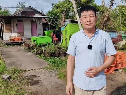 小桥流水人家,印尼农家依水而居鸡鹅成群果树环绕环境好 #国外 #国外 #国外 #三农 #印尼 #东南亚