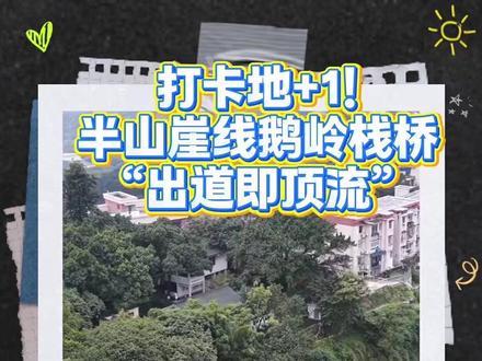 打卡地+1!半山崖线鹅岭栈桥“出道即顶流”#重庆渝中#半山崖线鹅岭栈桥#打卡地