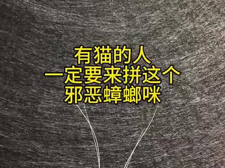 当你把拼豆做成猫胡子收纳器,你就会得到邪恶蟑螂咪 #晒出我的拼豆作品 #我在抖音玩拼豆