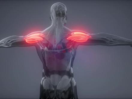 坚持吊单杠悬挂 30 天身体有什么变化?握力翻倍、体态回正 为什么顶级职业运动员都在练看似简单的“悬挂”?长期伏案、低头刷手机,你的脊柱正在像折纸一样慢慢萎缩 。 每天 1 分钟悬挂,是给身体的“反向修复工程” #悬挂训练 #健身干货 #吊单杠 #吊单杠的好处