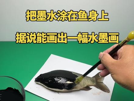 把墨水涂在鱼身上,据说能画出一幅水墨