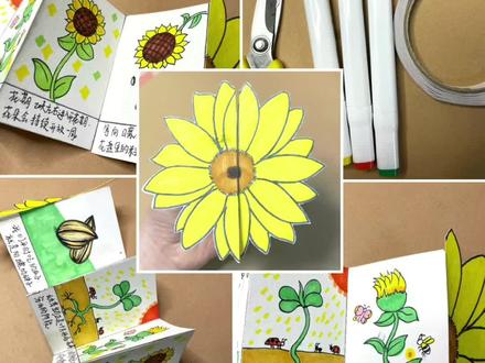 绘画教程|向日葵生长绘本 小朋友你知道瓜子是怎么来的嘛?简单小绘本讲述向日葵生长过程。
#幼儿园绘本#自制绘本 #向日葵生长#绘本教程#抖音小助手