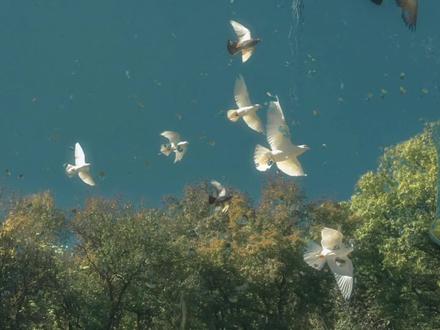 第132本 | 所有不甘,最终会变成你站起来的理由。#文字的力量 #情感共鸣 #好书分享 #基督山伯爵 #读书