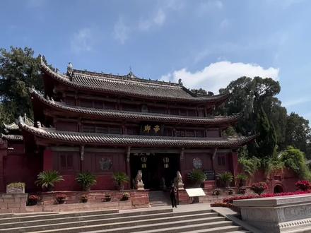 七曲山的树是怎么测算出年龄的?#如何测算树龄 #七曲山风景区