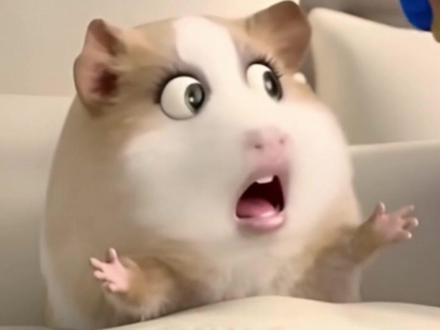 悟空浏览器真好用 #悟空浏览器