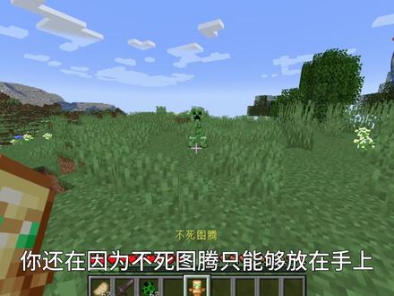 【装上图腾】图腾现在可以装备了 我的世界1.19饰品模组推荐 #我的世界不死图腾 #我的世界更好的不死图腾