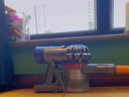 我就快站起来了#神奇动物在抖音 #双冠蜥蜴 #爬宠日常