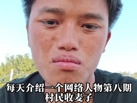 每天介绍一个网络人物第八期村民收麦子#盘点 #抽象 #村民收麦子 #盘点 #拒绝废话科普