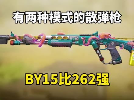 BY15已经超越了262#使命召唤手游