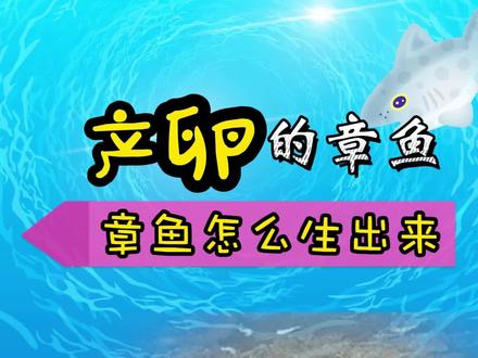 #神奇物种 #涨知识 #章鱼产卵 为什么网友会说母章鱼伟大呢?即能几个月不吃不喝守护孩子,又能和鲨鱼过招
