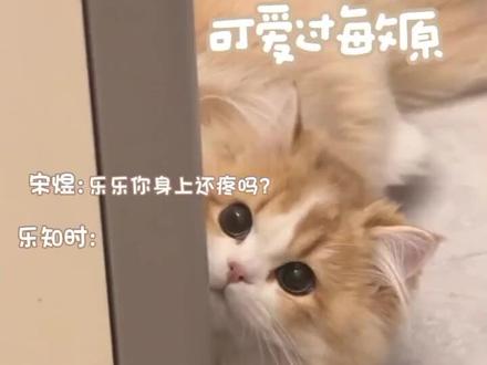 #可爱过敏原#宋煜#乐知时#广播剧@DOU+上热门 @DOU+小助手 @抖音小助手