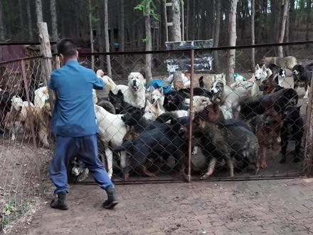 成绩差并不代表人品差,分数低并不代表能力低!#高考 #高考加油