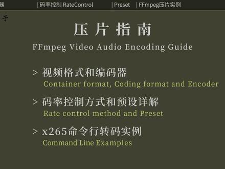 视频音频压缩转码 x264 x265编码器 码率控制 视频压制 转换 等 #ffmpeg #编程入门 #编程