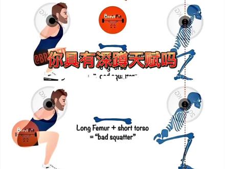 你具有深蹲天赋吗
你是个优秀的深蹲者吗
看完你就知道了#健身教学 #健身干货 #臀腿训练 #蹲腿 #健身