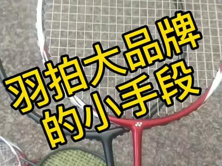 #羽毛拍 @羽键侠 @鸿昆一分钱一分货。大品牌的小手段,你们中招没有。假货也是钻其他地区防伪盲区的漏洞!