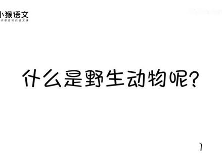 《什么是野生动物》超有趣的绘本讲解 #花花你在读什么 #小猴语文