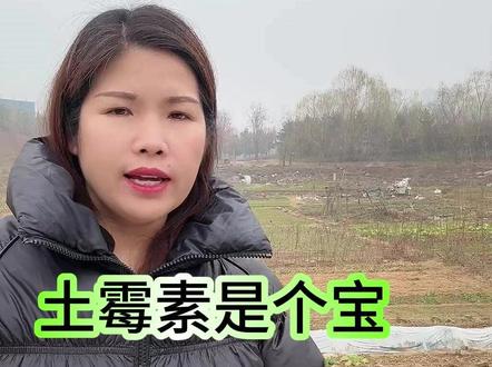 土霉素是个宝,土豆高产挡不住 #土豆 #土豆种植 #土豆技术 #土豆种植管理