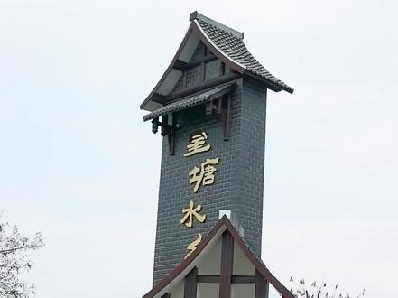 汉中黄塘水乡油菜花 #又到赏花拍照的季节 #创作者中心 #创作灵感 #抖音创作者激励计划 #汉中同城